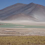 Salar de Talar