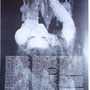 Halima 2005