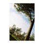 Assisi, 2005