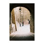 Assisi, 2007