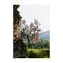 Assisi, 2009
