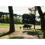 Arezzo, 2007