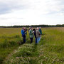 Weite Wiesen mit Feldlerchen und Neuntöter