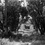 Ex-hacienda "Tecuac".