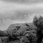 La imponente "Piedra del toro".