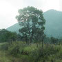 Camino al Quetzaltepec.