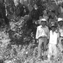 Investigación de campo bien sustenteda. (Don chava, Manuel)