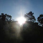 Amanece, bienvenido padre sol.