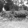 La fuente "ex-hacienda Tecuac".