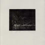 Berg, Claudia, Halle, Radierung, 2008. Auflage 50. Blatt 250x 195 mm, Platte  90 x 110 mm. Schwarze Johannisbeeren. 001