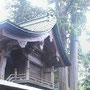 羽梨山神社と熊野杉