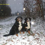 Louna und Lotte im ersten Schnee