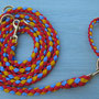 Leine 3-fach verstellbar + Halsband "mini" rot/blau/gelb