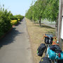 五行川沿いサイクリングロード