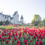 Château du Rivau mit Blumenpracht