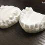 ３Dプリンター（生体適合素材）骨格模型／医療器具