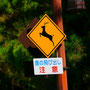 奈良のロードサイン。 鹿にはご注意。