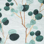 311/Eucalyptus on white