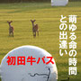 NEMURO FOOTPATH Hattaushi-path 2010 Poster