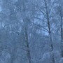 "Winterwunderland" von Melina H.