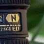Detailvergrößerung eines Bildes mit ISO 800