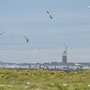 Luft und Wasser: Flugverkehr