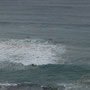 Surfer im Meer