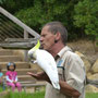 Vogelshow in Healesville