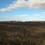 Abgebrannte Felder nach Bushbrände im Norden von Melbourne