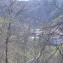 Vorbei an der Station Glattfelden führt der Weg durch den Hardwald nach Bülach. Durch die Bäume sehe ich manchmal ein kleines Stücklein der Glatt.