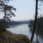 Durch den Wald im Strickboden wandere ich dem Rhein entlang Richtung Ellikon am Rhein.