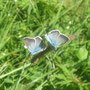 Ein Stück weit wimmelt es nur so von blauen und braunen Schmetterlingen.