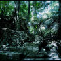 PALENQUE RUINS [PALENQUE/MEXICO]