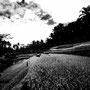 Rice terraces, Gunung Kawi