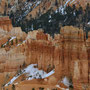 Bryce Canyon [Bryce Canyon National Park/Utah/USA]