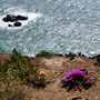 CABO DA ROCA / ROCK CAPE 