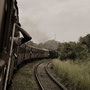 Train to ANURADHAPURA 