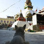 Kathmandu - Kathesimbu Stupa