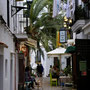 Ibiza - Sa Penya (Ibiza Town)