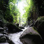 Monkey forest, Ubud