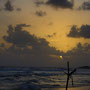 BEACH [HIKKADUWA/SRI LANKA]