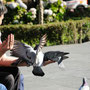 Arequipa - Plaza de Armas