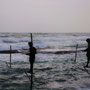 STILT FISHERMEN [KOGGALA/SRI LANKA]