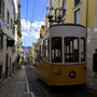 TRAM [LISBON/PORTUGAL]