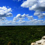 COBÁ RUINS [COBÁ/MEXICO]