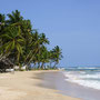 BEACH [MIRISSA/SRI LANKA] 