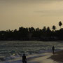 BEACH [UNAWATUNA/SRI LANKA] 