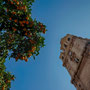 Catedral de Santa María [Murcia - Spain]