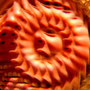o.t.  | photograph | digital print | 70 x 70 cm