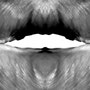 body parts IV | photograph | digital development | digital print | 100 x 70 cm